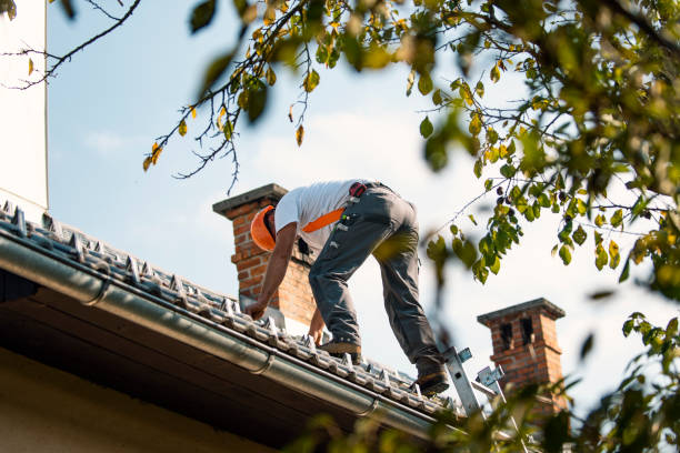 Best Gutter Installation and Repair  in Sumrall, MS