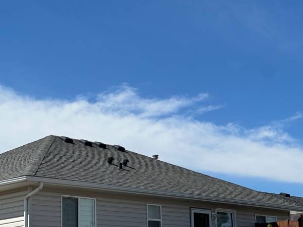 Best Rubber Roofing (EPDM, TPO)  in Sumrall, MS